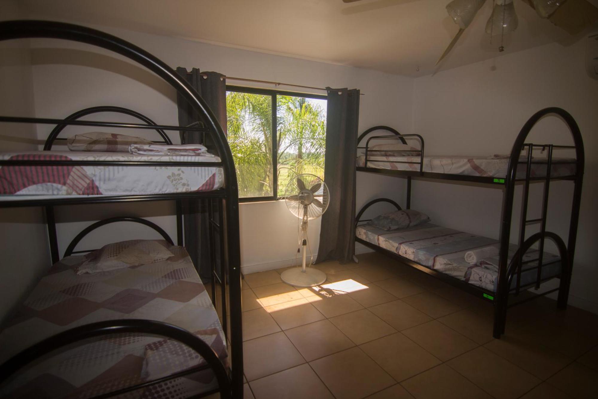 Wipeout Hostel Jacó Kültér fotó