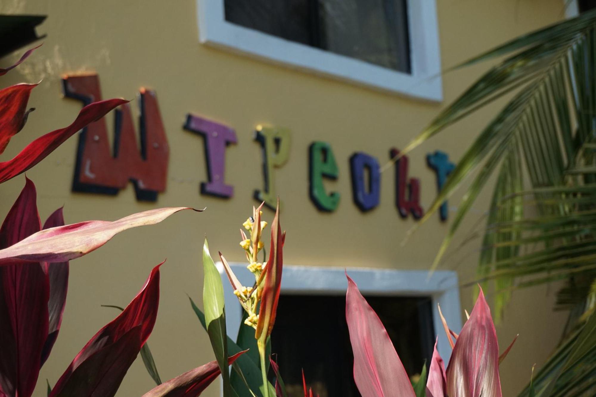 Wipeout Hostel Jacó Kültér fotó